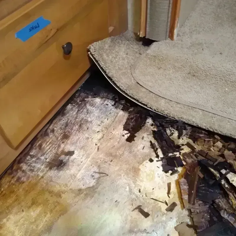 Wood Floor Water Damage in Sun City, AZ